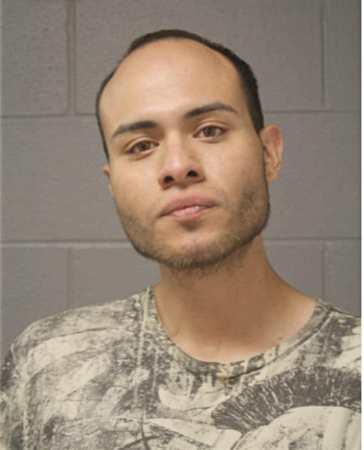 JOSE M GARCIA, Cook County, Illinois