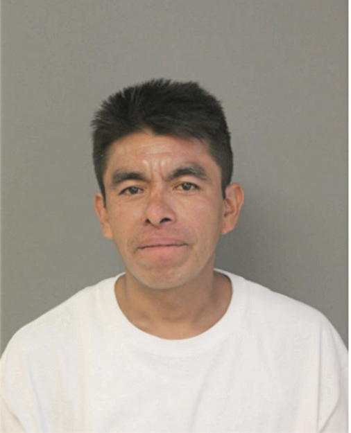 NELSON GARCIA, Cook County, Illinois
