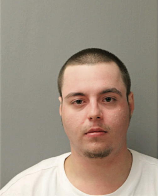 DENNIS R GEORGES, Cook County, Illinois