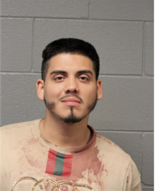 BRIAN GUERRERO, Cook County, Illinois