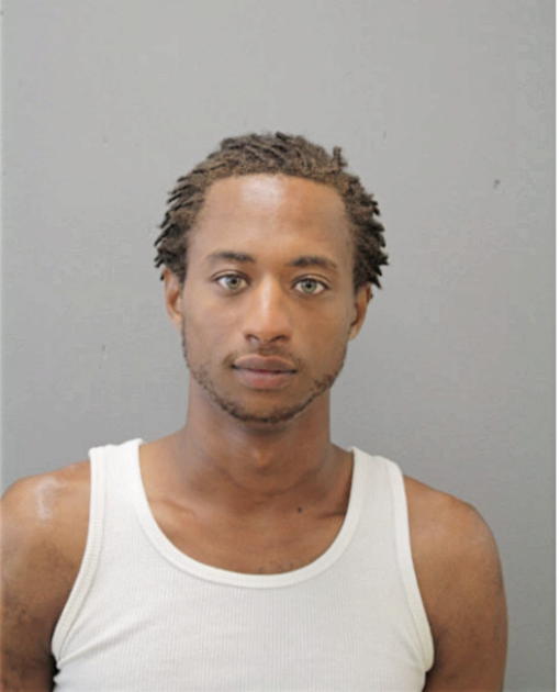 TERREL J HORTON, Cook County, Illinois
