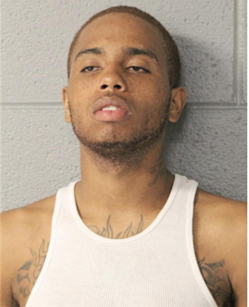 JAVAUHN J JOHNSON, Cook County, Illinois