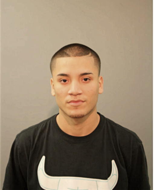 HELIODRO LERMA, Cook County, Illinois