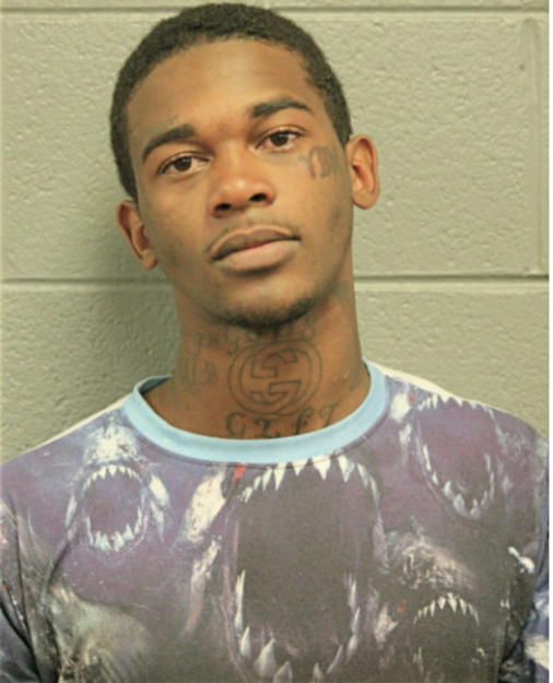 TION T LEWIS, Cook County, Illinois