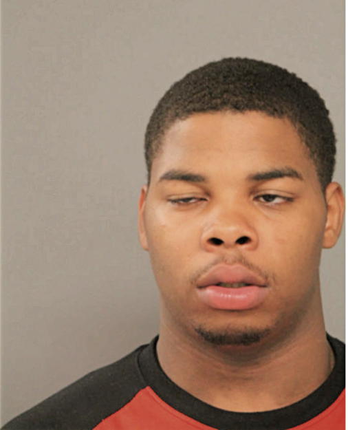 MATTHEW J MASSEY, Cook County, Illinois