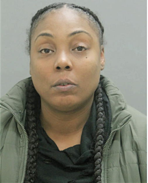 MELISSA L MATTHEWS, Cook County, Illinois