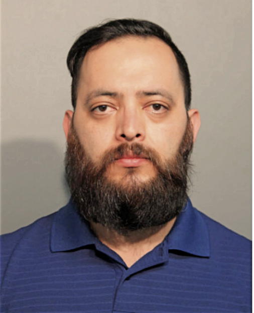 LUIS G PALACIOS, Cook County, Illinois