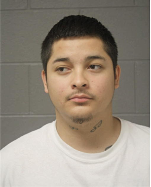 LUIS J PEREZ, Cook County, Illinois