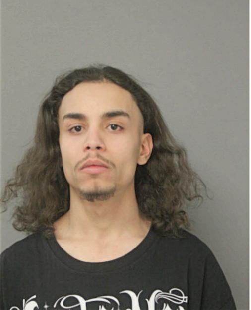 DAVID REYES, Cook County, Illinois