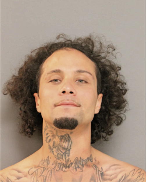 ANGEL F RIVERA, Cook County, Illinois