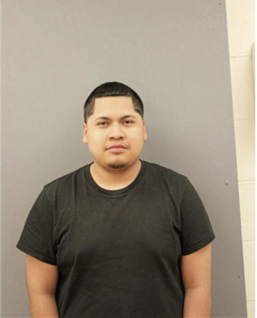 JOAQUIN ROMAN, Cook County, Illinois