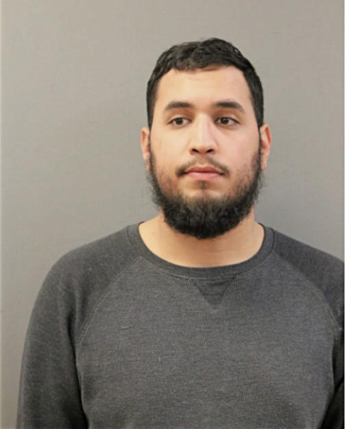 DIMITRI L ROSARIO, Cook County, Illinois