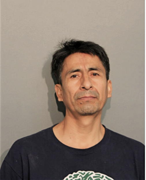LUIS B SINCHI, Cook County, Illinois
