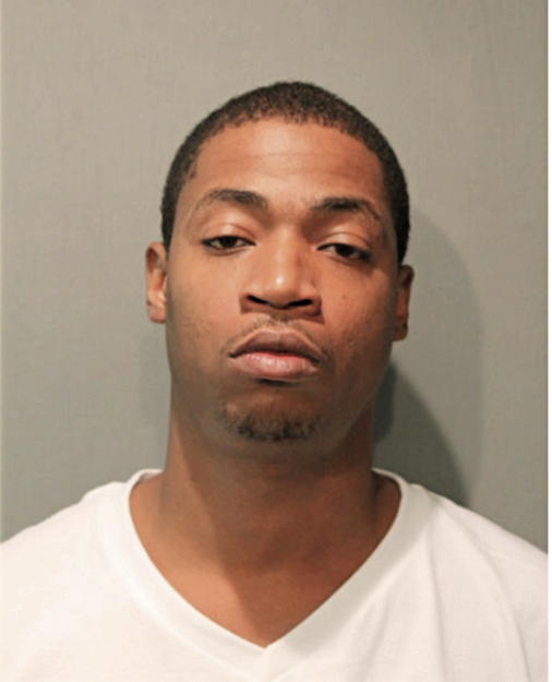 MICHAEL J WILSON, Cook County, Illinois