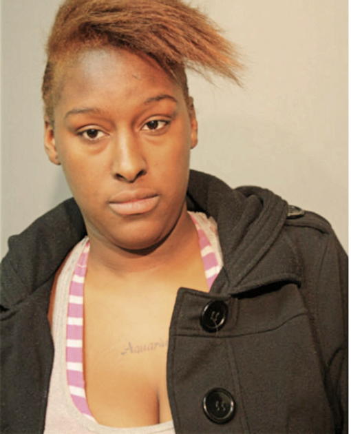MICHELLE C WRIGHT, Cook County, Illinois