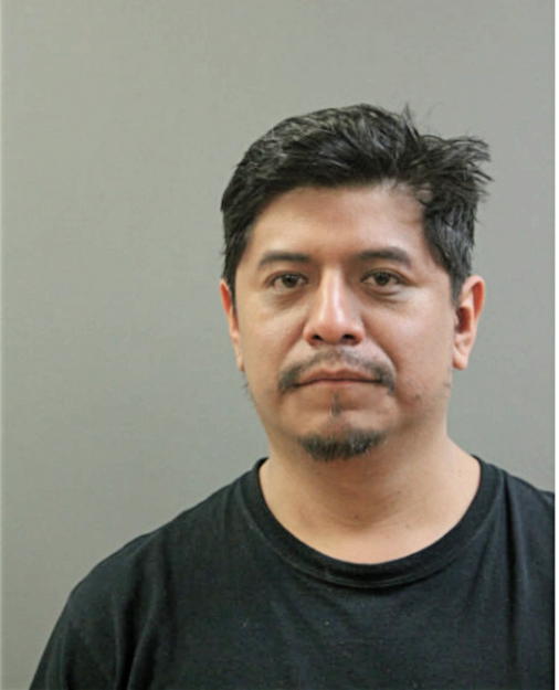 MARGARITO ALCALA, Cook County, Illinois