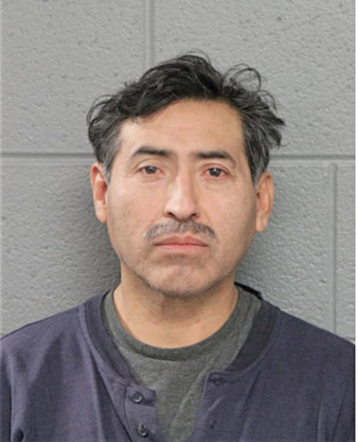 GUILLERMO ALCOCER, Cook County, Illinois