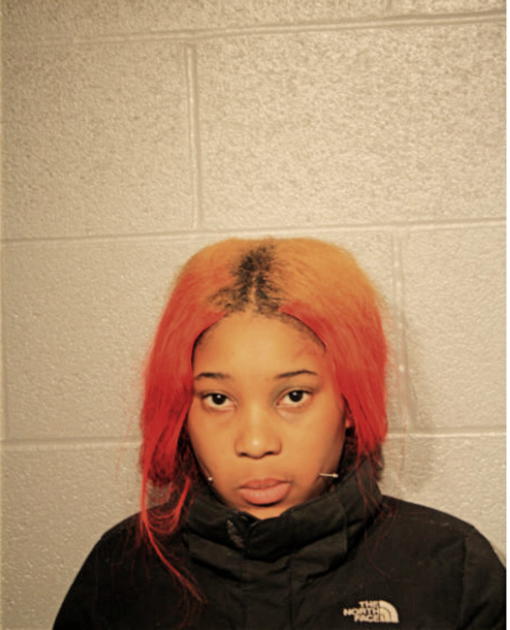 BRIANA ALEXANDER, Cook County, Illinois