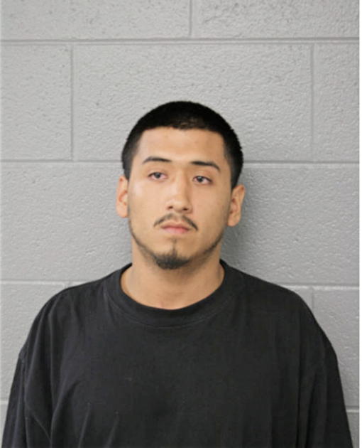 ERIC ALMAZAN, Cook County, Illinois