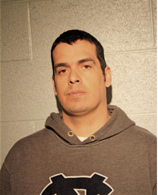 MICHAEL A ALONZO, Cook County, Illinois