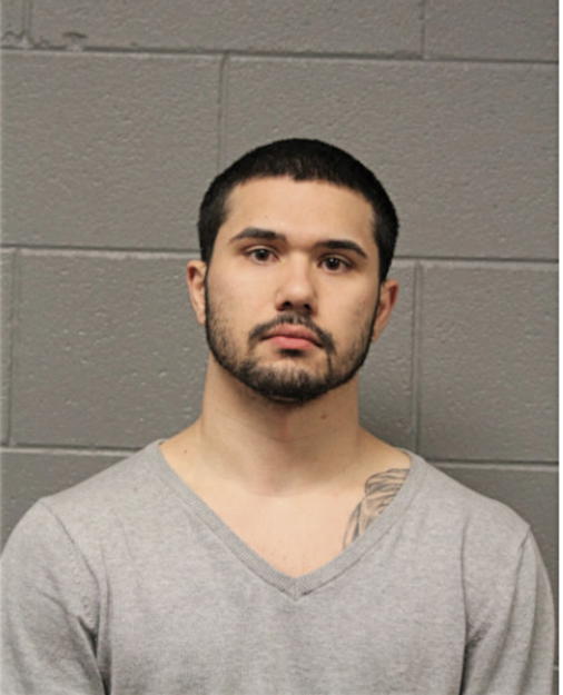 ADAM N BRYANT, Cook County, Illinois