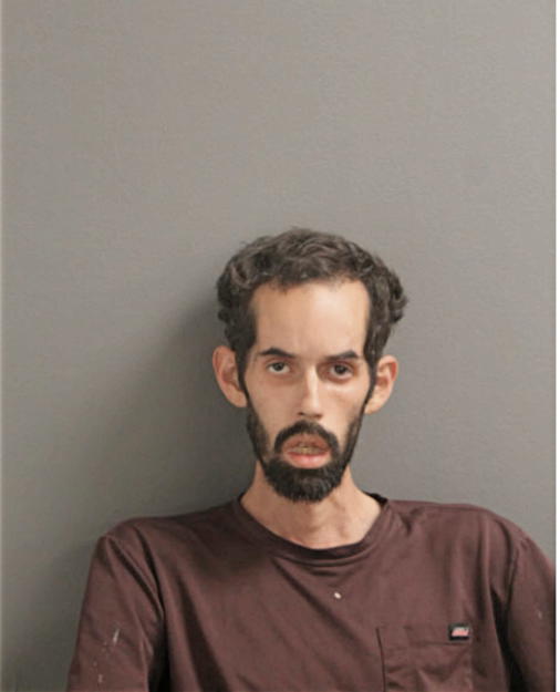 MICHAEL A CARDENAS, Cook County, Illinois
