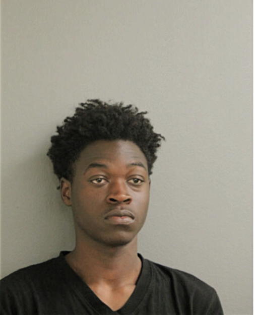 MICHAEL K CASEY, Cook County, Illinois