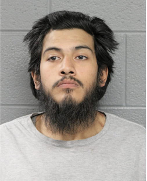 BRANDON G CASTILLO, Cook County, Illinois