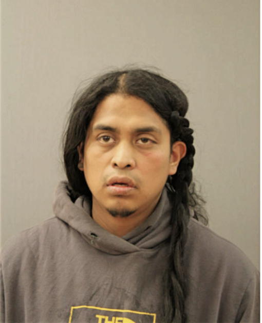 LUIS A CORONA, Cook County, Illinois