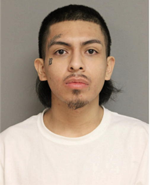ERWIGN DELGADO, Cook County, Illinois