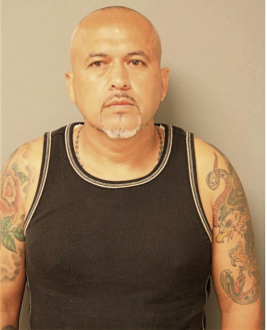JOSE L DELGADO, Cook County, Illinois