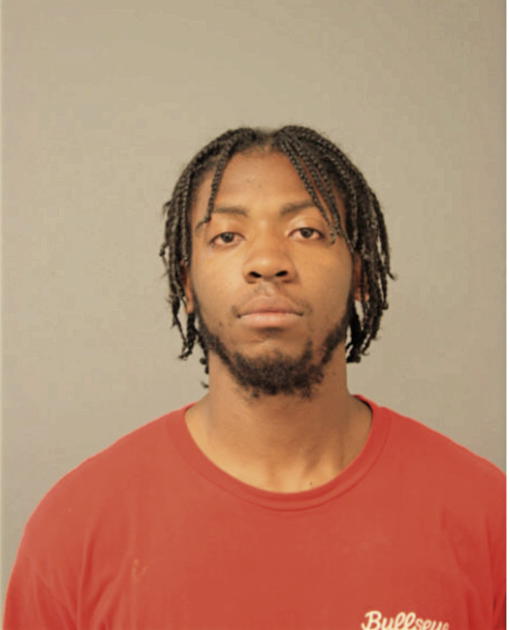 BRANDON L DIXON, Cook County, Illinois