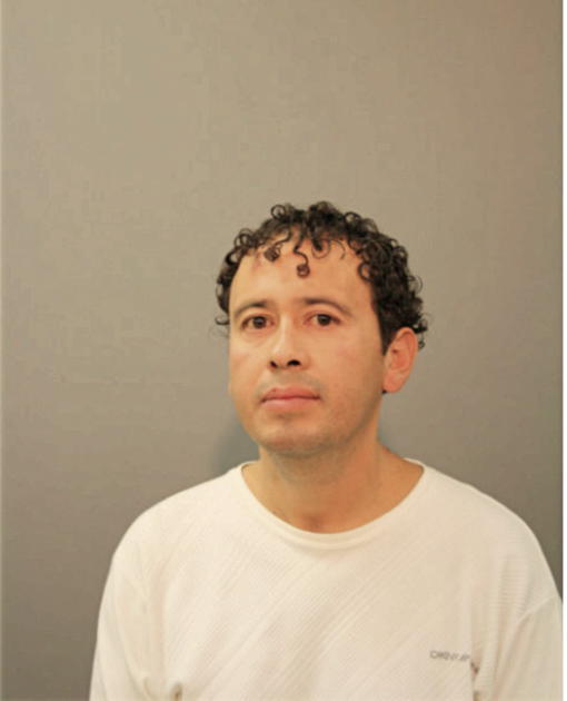 LEONARDO G DORADO, Cook County, Illinois