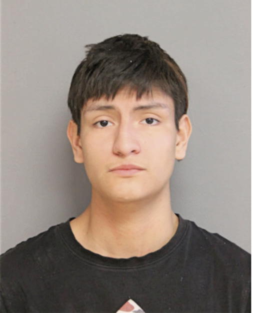 MIGUEL JR ESTRADA, Cook County, Illinois