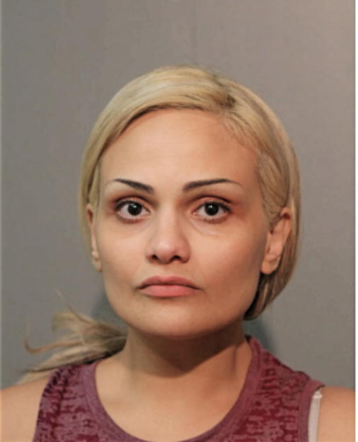 RANA MOHAMAD FAHMAWI, Cook County, Illinois