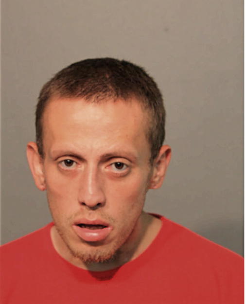 MARK E FLORES-TOBAR, Cook County, Illinois