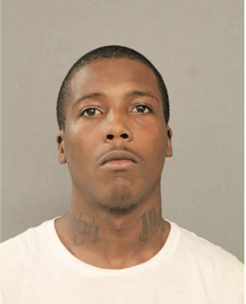 DAMIEN S FLUNDER, Cook County, Illinois