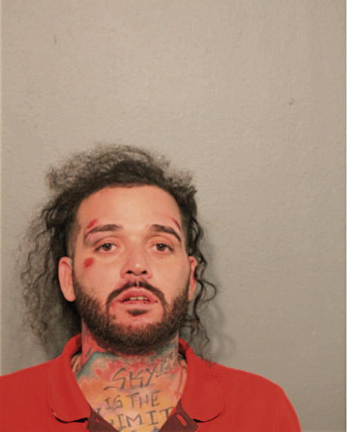 NICOLAS D FRANCO, Cook County, Illinois