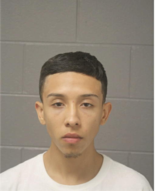 JAVIER GAMINO, Cook County, Illinois