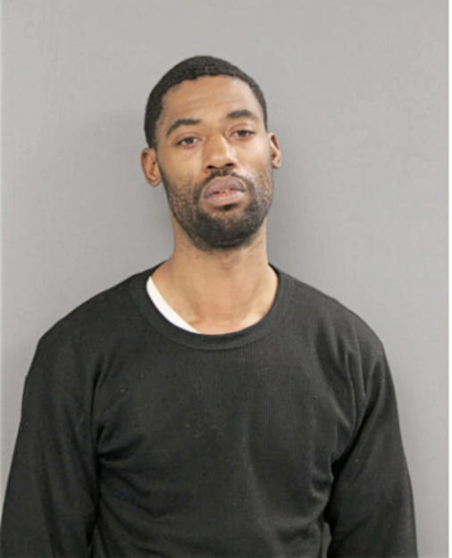 DENNIS A GOODMAN, Cook County, Illinois