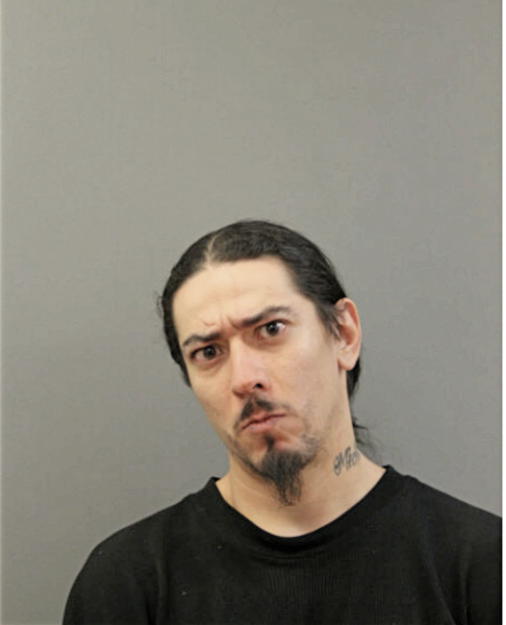 ALEJANDRO GUEVARA, Cook County, Illinois