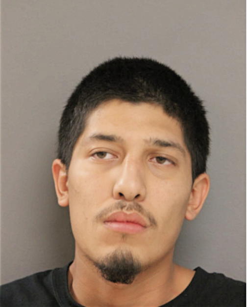 LUIS E GUILLEN, Cook County, Illinois