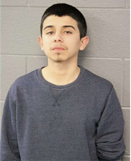 RAYMOND HERNANDEZ, Cook County, Illinois