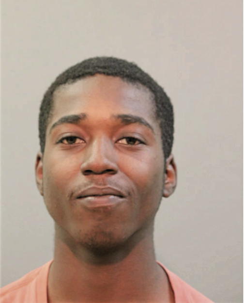 RAEKWON J JENKINS, Cook County, Illinois