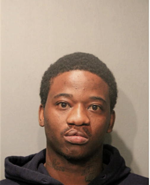 BERTELL H JOHNSON, Cook County, Illinois