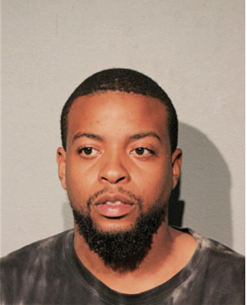 RANDY L JOHNSON, Cook County, Illinois