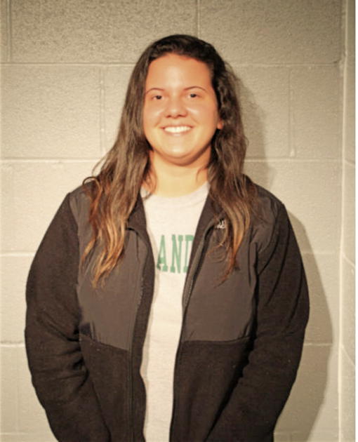 LOGAN B LASER, Cook County, Illinois