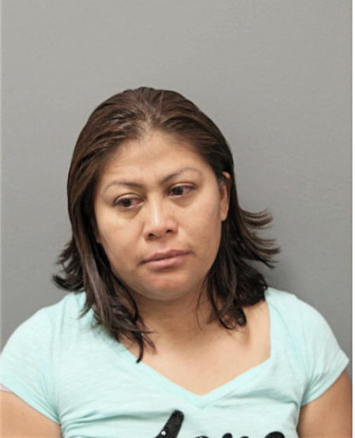 ESTELA J MARTINEZ, Cook County, Illinois