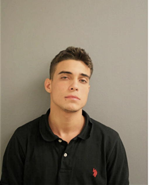 JESUS J MENDEZ-SANCHEZ, Cook County, Illinois