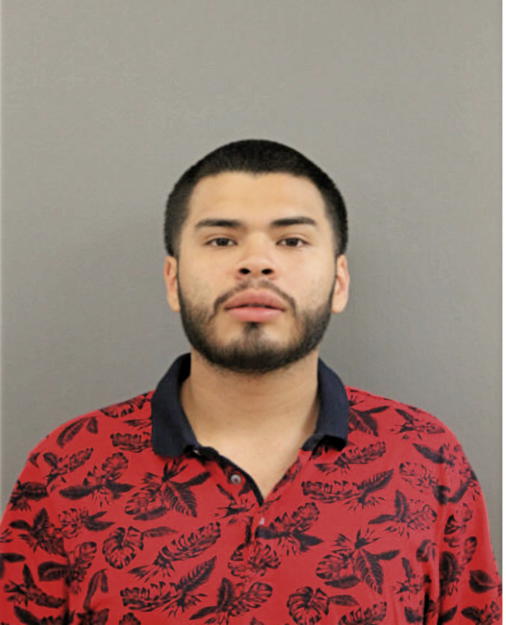 EFREN G MORALES, Cook County, Illinois